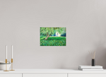 28 x 20 cm, PHOTO PRINT DP II MAT Under the Tree — Fine Art Print on Fuji Crystal DP II